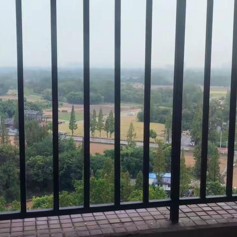 【隔离日记六】，——爱犬独自望宇穹