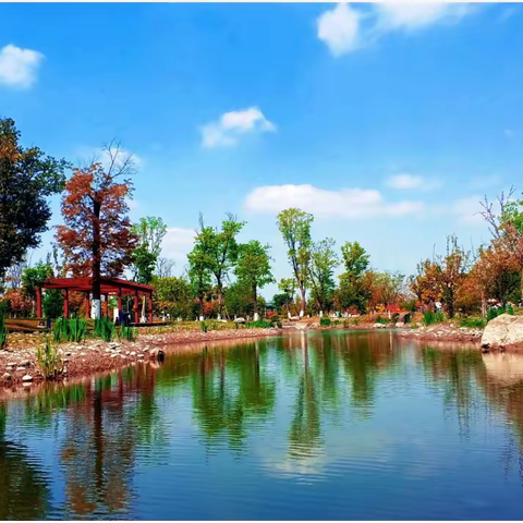 【隔离序曲·入驻菁蓉】