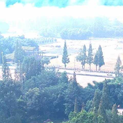 念奴娇，——关在囚笼里的歌