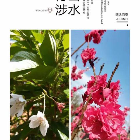 春的魔力