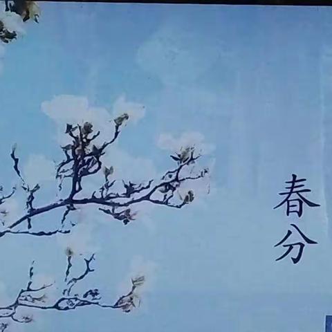 莱芜区苗山镇见马小学一年级开展“带你去寻春”活动