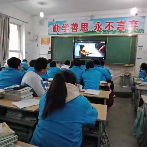 研究性学习拍照