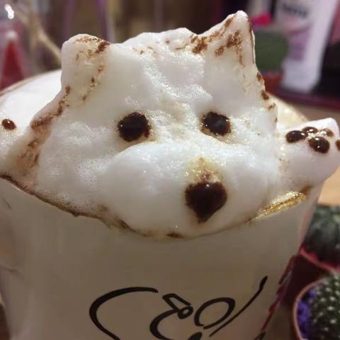 我与咖啡奶泡的故事