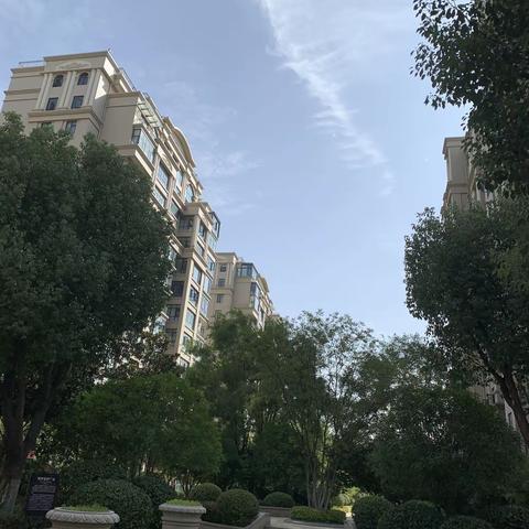 夏意悠未尽  忽觉秋已来（秋分漫步）