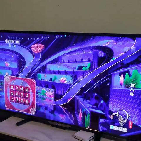 《中国诗词大会》观后感
