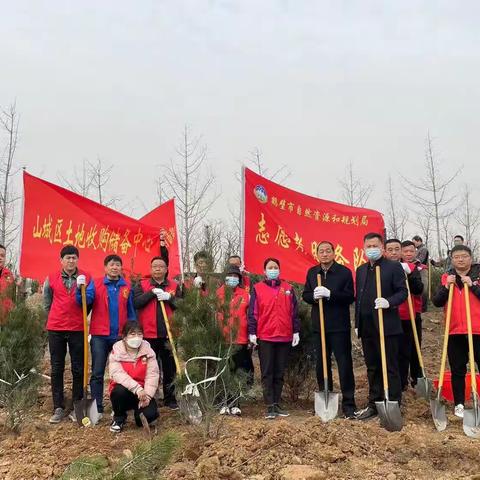 植树造林  绿化家园