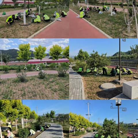 青龙县园林绿化服务中心工作周报（2023.6.3-6.9）