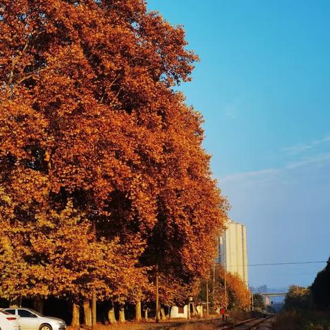 和我，在火车站路走一走……