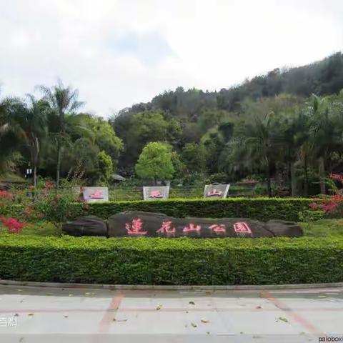 城市中心莲花公园里隐藏着一座休闲农家乐