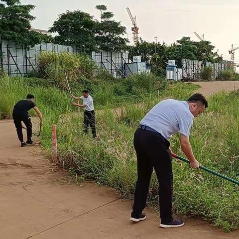 海建现代物流园公司开展除草整荒行动