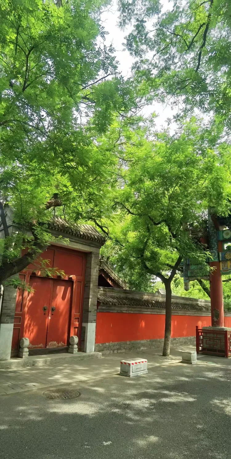 聚贤草堂时装瓷器唐卡艺术展览从牌楼下走进郁郁葱葱的胡同,茂盛浓密