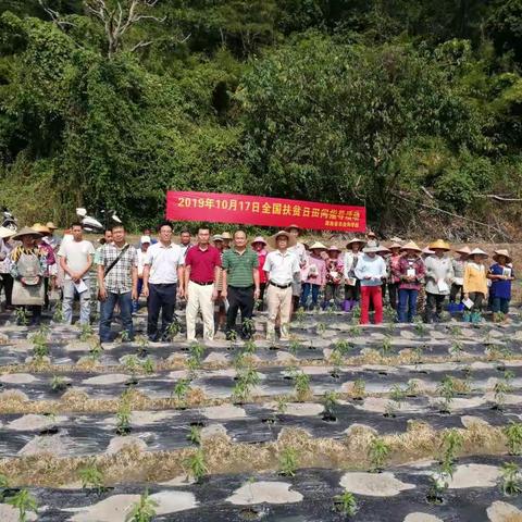 省三区科技人员深入贫困村开展扶贫日活动