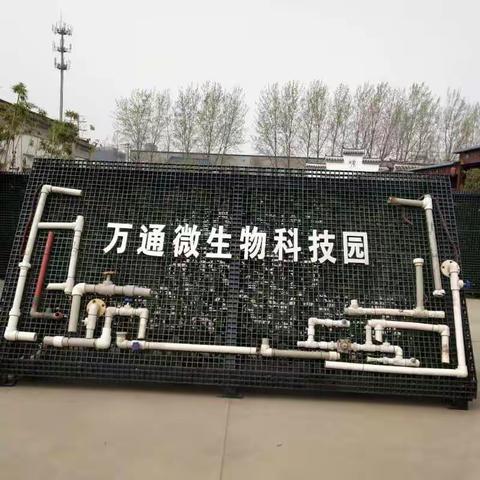 【青年新实.研学】《种子旅行记》四年级“小麦宝”探寻万通酱醋厂