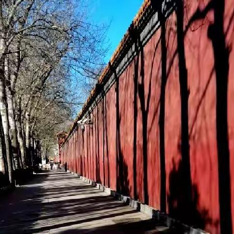 二月人间，一切向暖