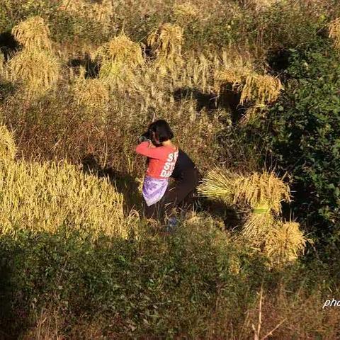 牙牙不知道自己的女婿将来如何对待自己，便用苦肉计不断地进行试探