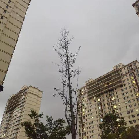 随感
