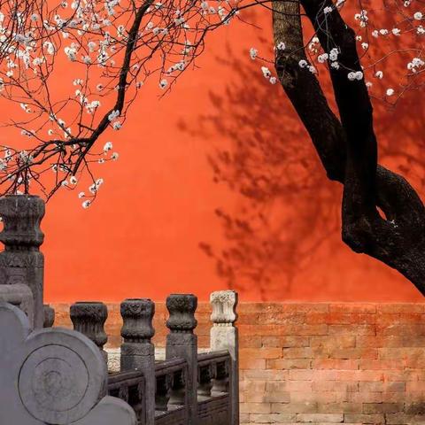 杂感