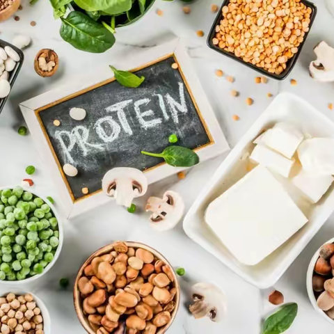 你好，蛋白质！（一）