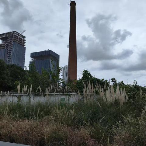 杨浦滨江