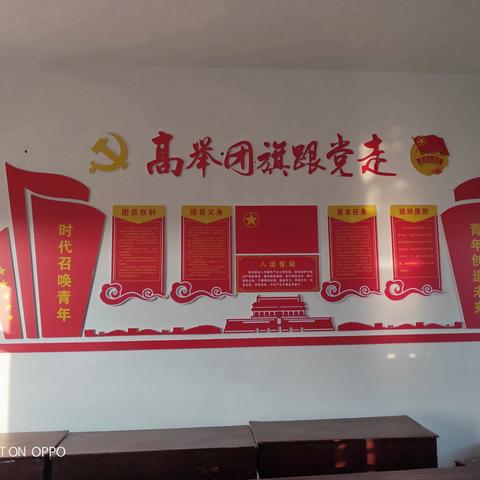 引导青年放飞激情  投身脱贫点亮人生 —栏杆街道王湾村第一团支部书记王中莉