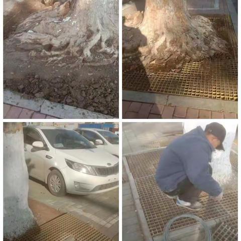 抚宁容貌整治在行动——绿化篇 抚宁区园林绿化中心绿化养护二股对城区树穴及树篦子进行清理维修