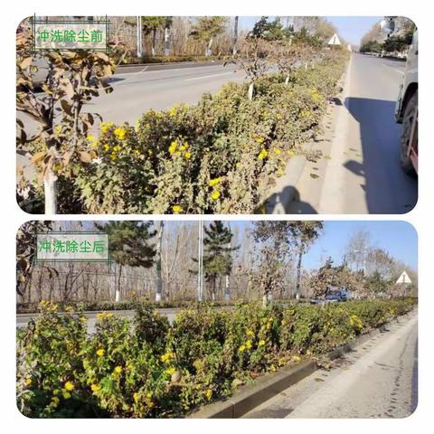 抚宁容貌整治在行动——绿化篇 绿化养护二股对城区街道绿植进行冲洗除尘工作