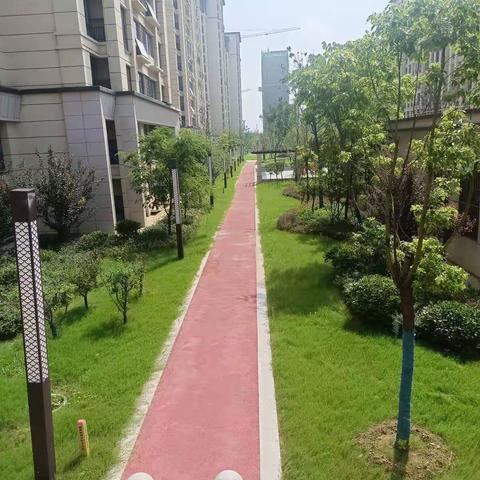 璀璨华城物业7月份工作简报