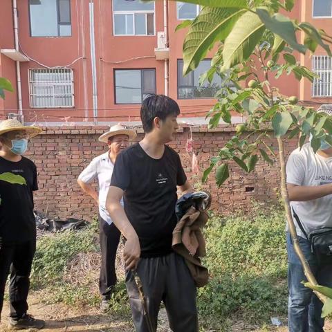 工作岗位过端午，西苑新区建设不停歇——午汲镇在行动！