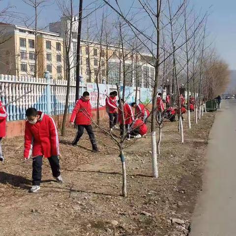 第二初中劳动周教育主题活动方案