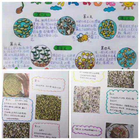 学乐结合，家校共育-西安市第七十中学初中生物学科“双减”寒假作业设计纪实