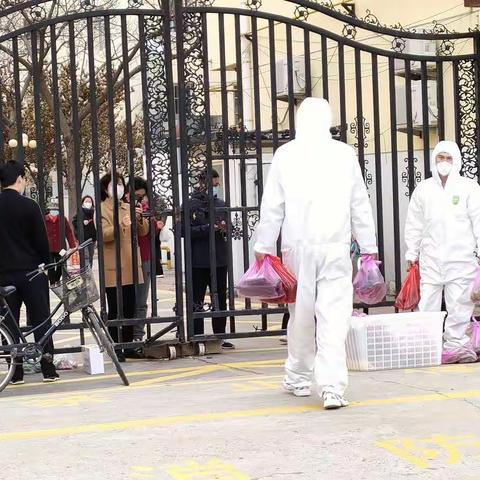 点赞商河助农行动战疫情！