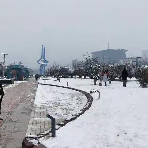 点赞商河、温泉花卉（泉城广场体验店）品牌宣传活动系列之九、十