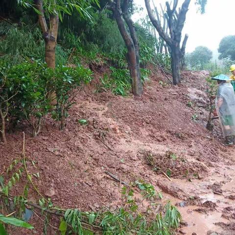 暴雨肆掠灾情多 ，排危抢险速度快，（第29期）