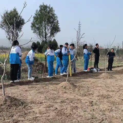 劳动砺心志 实践促成长 --蔬菜种植综合劳动实践活动