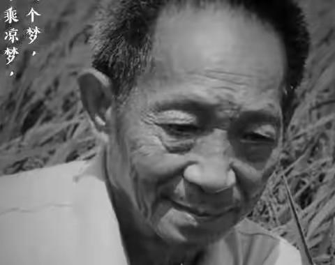 焦作市第十七中学举行缅怀仪式深切悼念袁隆平院士