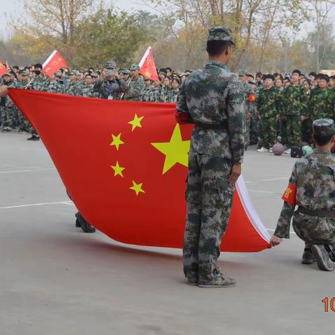 金秋十月披锦绣，丹桂飘香话成长－－－第十七中学东校区十月纪实