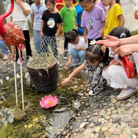 月儿圆圆，浓情满满——大班中秋节专题活动