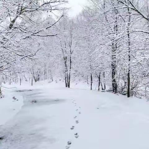 大班居家音乐游戏篇——小雪人