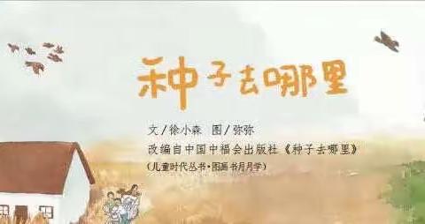 调查表之——种子去哪里了