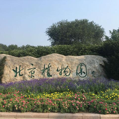 秋游植物园