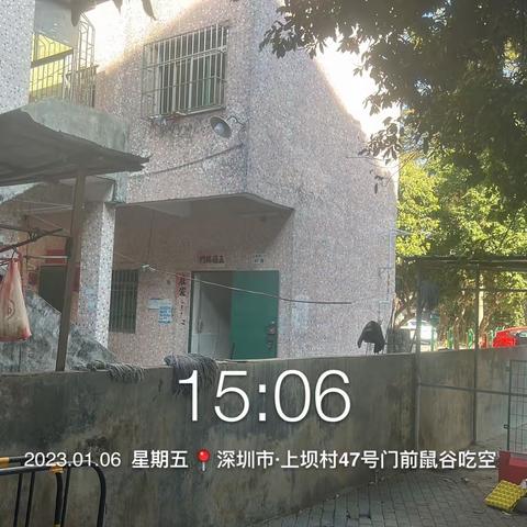 龙田街道“四害”消杀监理工作汇报（2023.01.06）