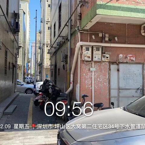 龙田街道“四害”消杀监理工作汇报（2022.12.09）