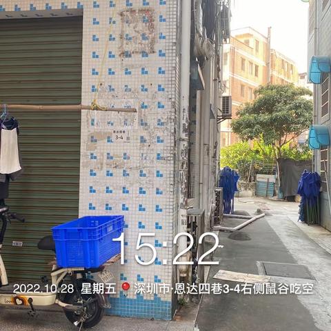 龙田街道“四害”消杀监理工作汇报（2022.10.28）