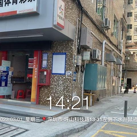 龙田街道“四害”消杀监理工作汇报（2023.03.03）