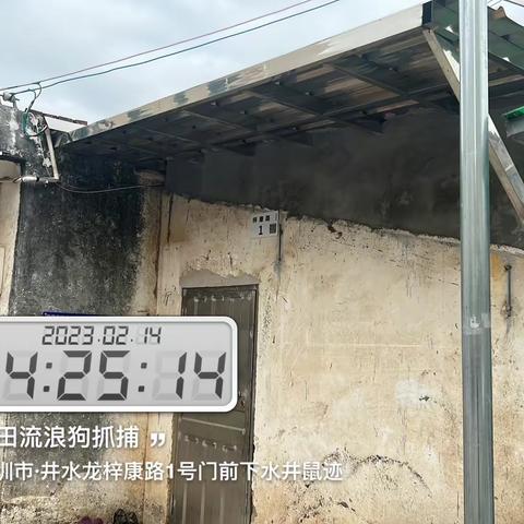 龙田街道“四害”消杀监理工作汇报（2023.02.17）