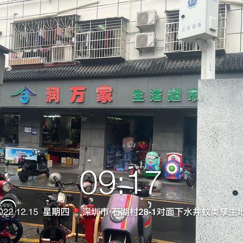 龙田街道“四害”消杀监理工作汇报（2022.12.16）