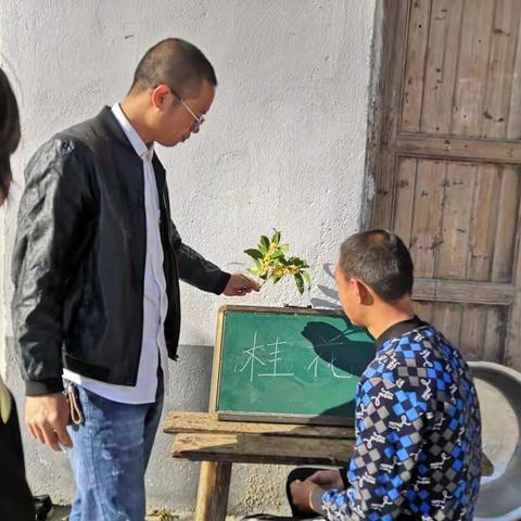 桂花守时开，送教如期来