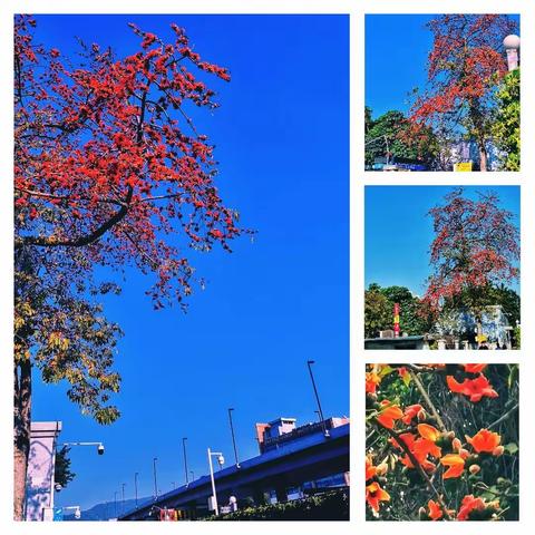 牛王头(曾要武)的美篇