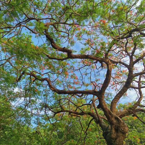 牛王头(曾要武)的美篇