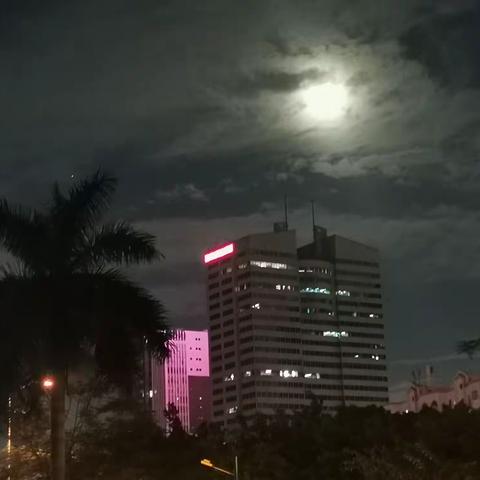 牛王头(曾要武)的美篇